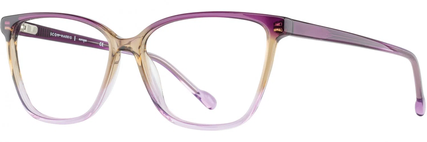 Scott Harris SH922 Eyeglasses - view 9